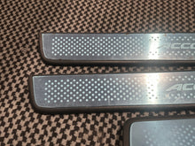 Load image into Gallery viewer, CL7 Accord door sills