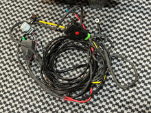Load image into Gallery viewer, LHD Rear Fog light and harness